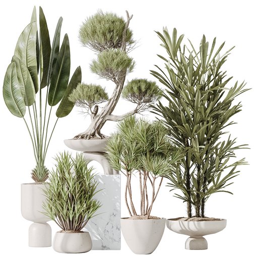 Indoor plant set 28