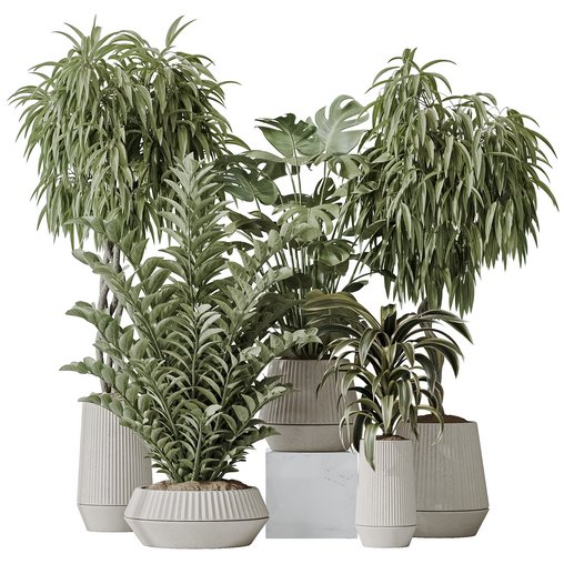 Indoor plant set 25