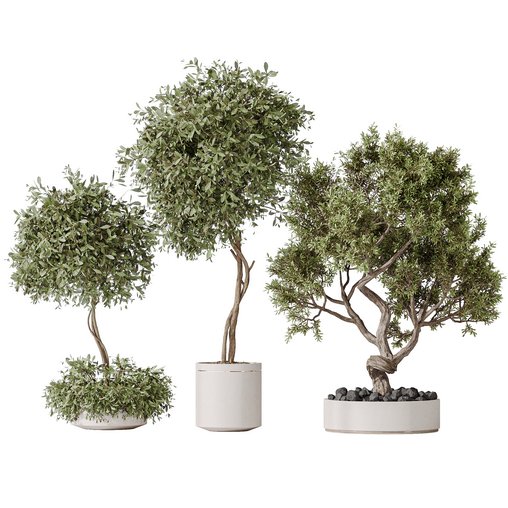 Indoor plant set 18