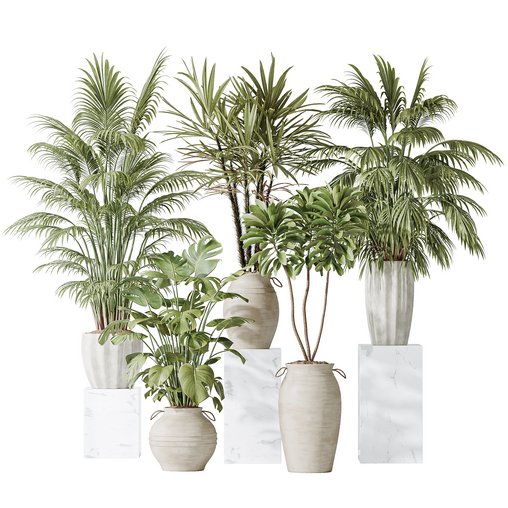 ndoor plant set 19