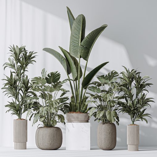 Indoor plant set 08