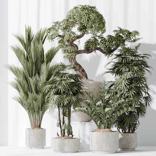 Indoor plant set 27