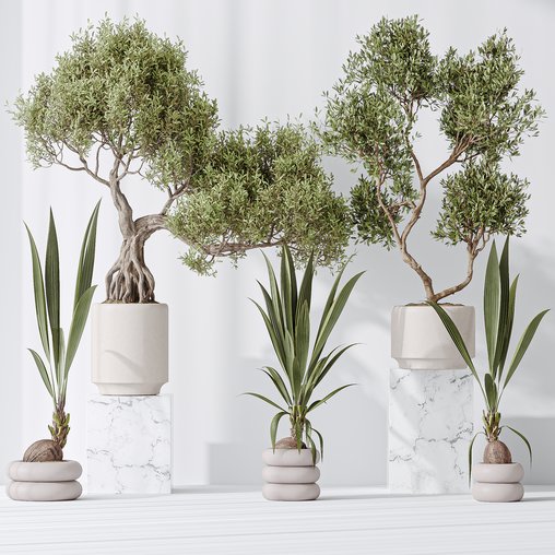 Indoor plant set 20