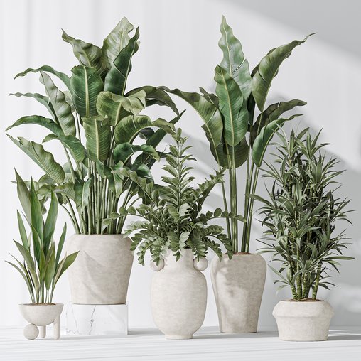 Indoor plant set 21