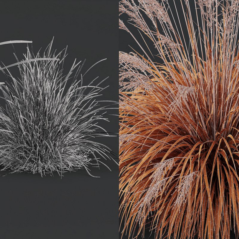 Grass 03 3d Model Buy Download 3dbrute