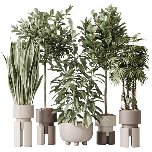 Indoor plant set 46