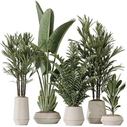 Indoor plant set 49