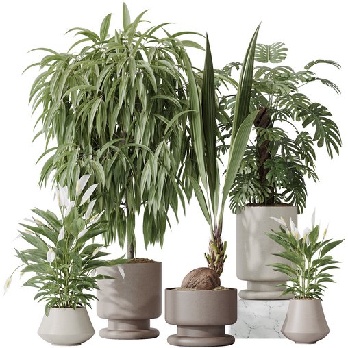 Indoor plant set 53