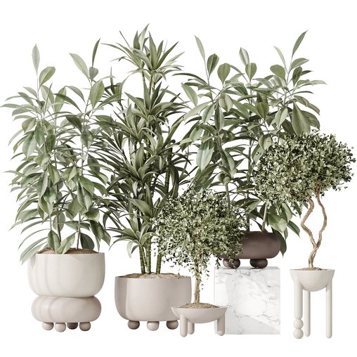 Indoor plant set 36