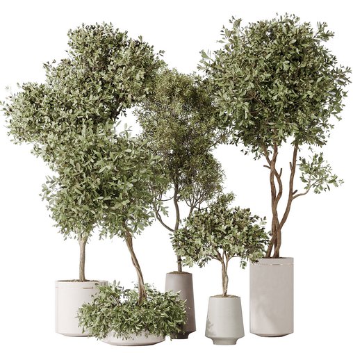 Indoor plant set 44