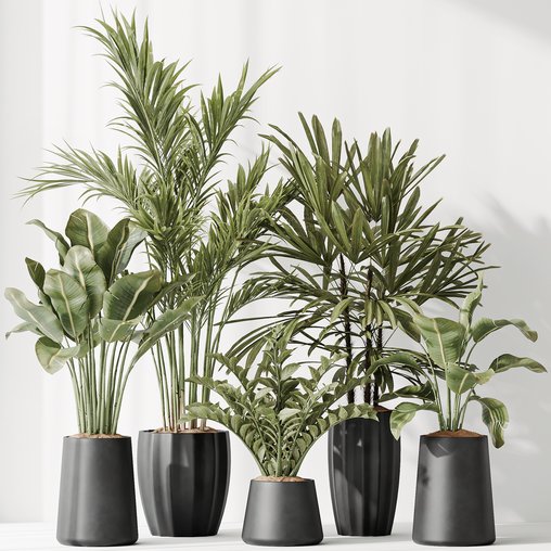 Indoor plant set 40