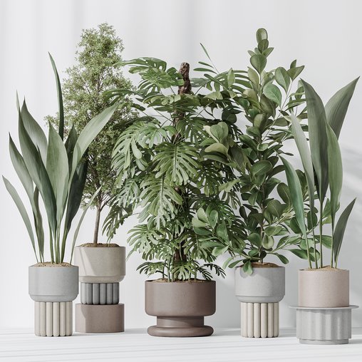 Indoor plant set 48