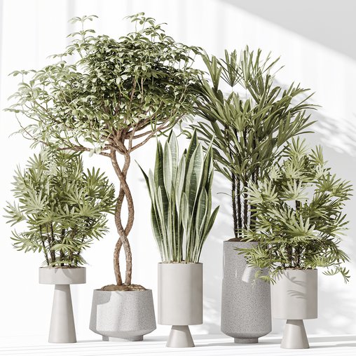 Indoor plant set 29