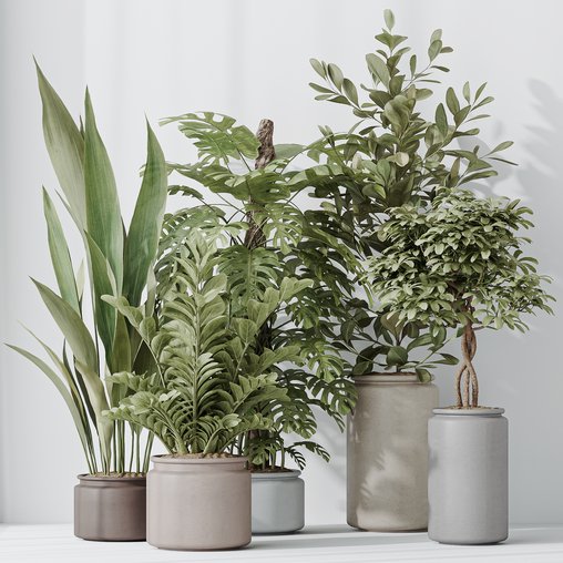 Indoor Plants Set 42