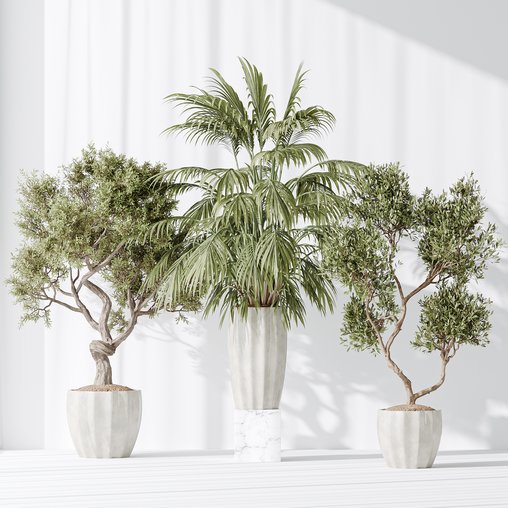 Indoor plant set 34