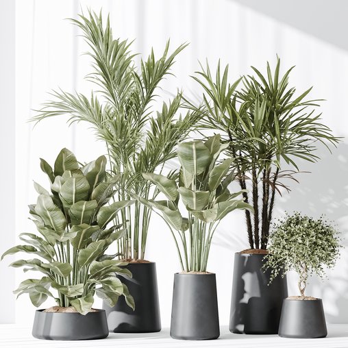 Indoor plant set 30