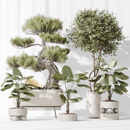 Indoor plant set 32