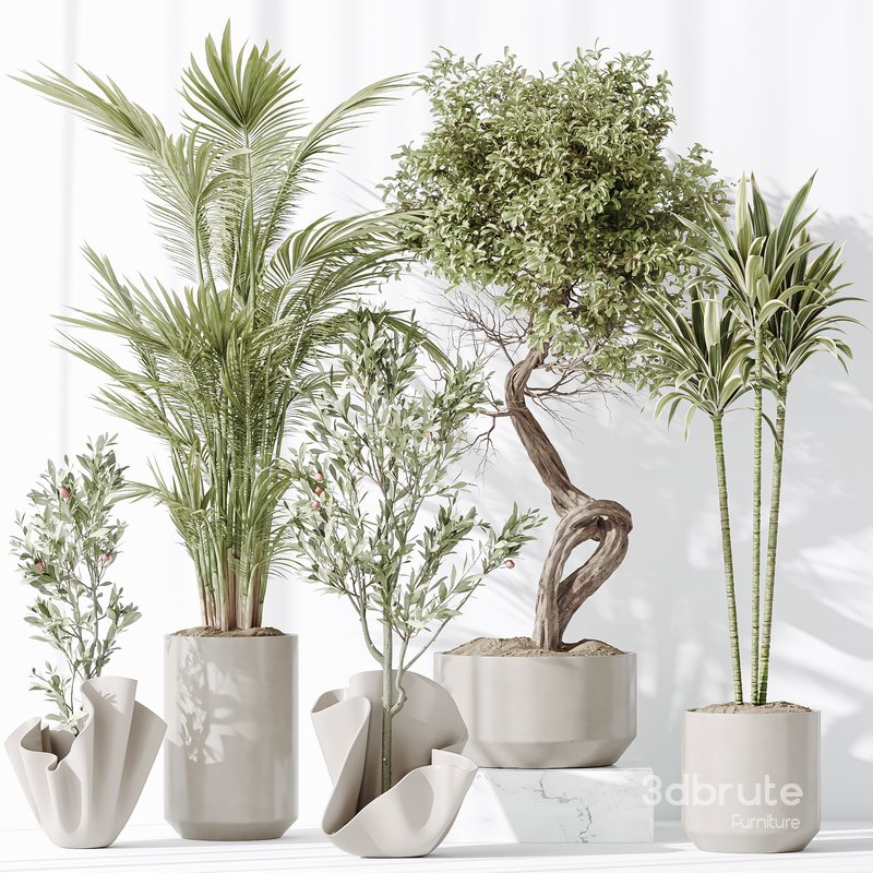 Indoor plant set 33