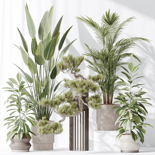 Indoor plant set 31