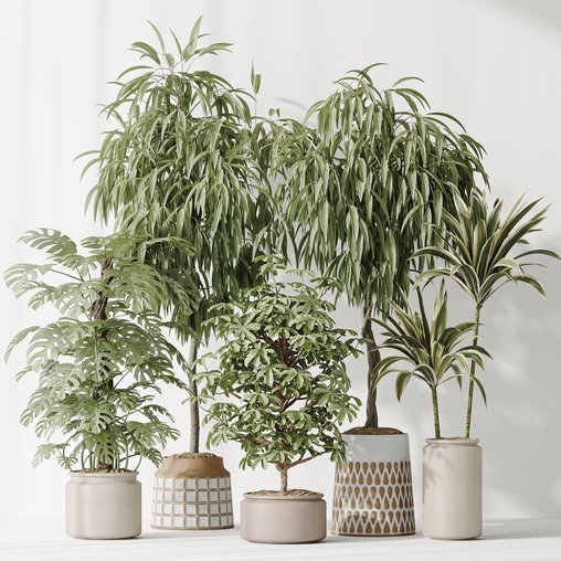 Indoor plant set 39