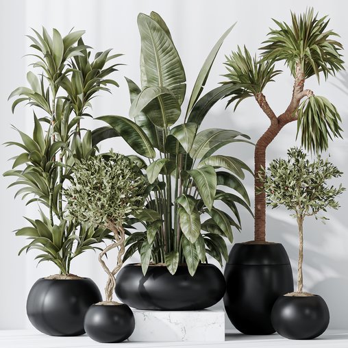 Indoor plant set 47