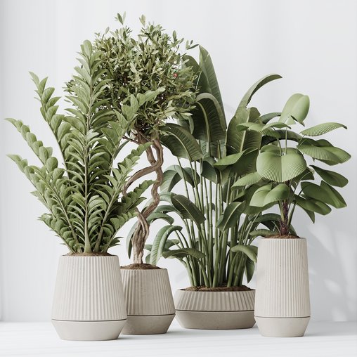 Indoor Plants Set 41