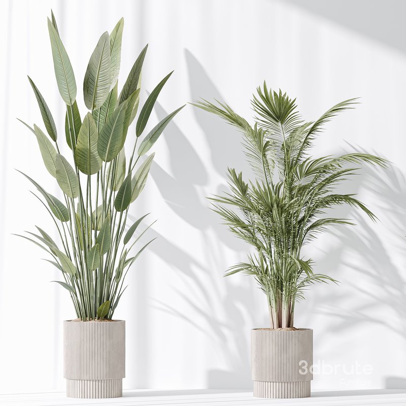 Indoor plant set 31 3d model Buy Download 3dbrute