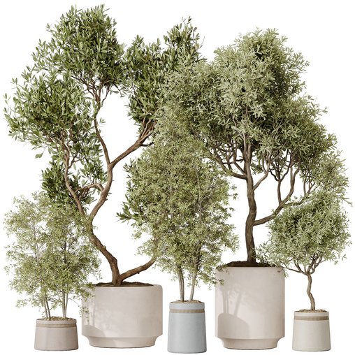 Indoor plant set 62