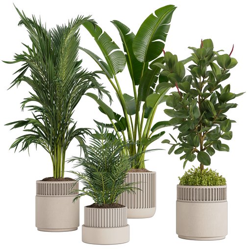 Indoor plant set02