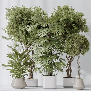 Indoor plant set 56