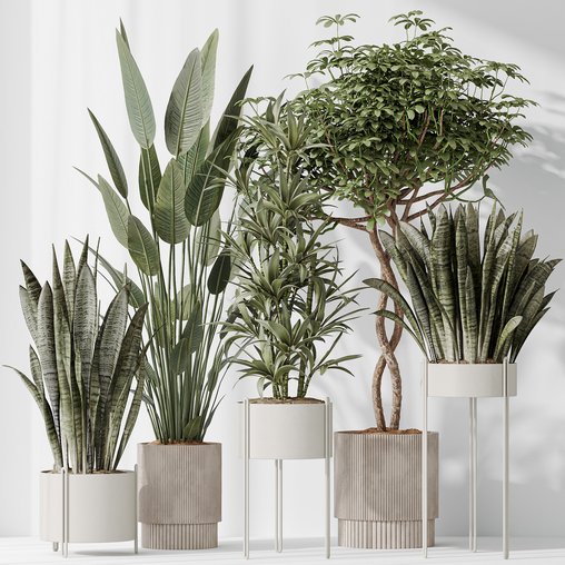 Indoor plants set 58