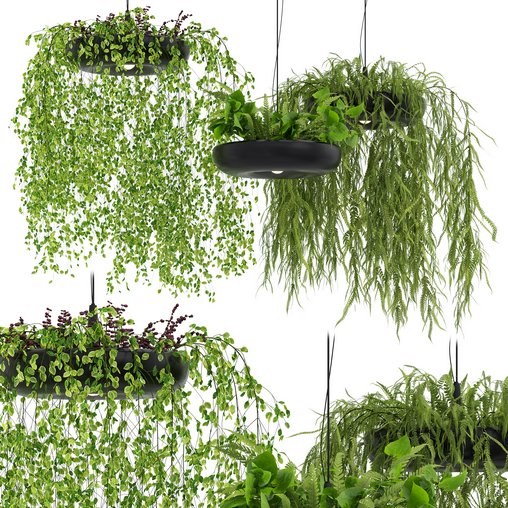 Indrid Decorative Plants Black Light By Lightmakers