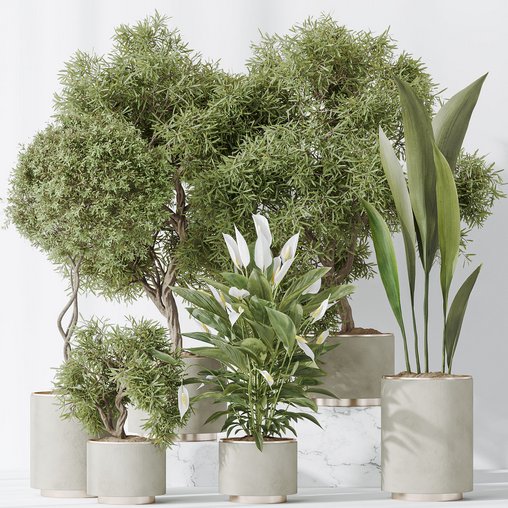 Indoor plant set 64