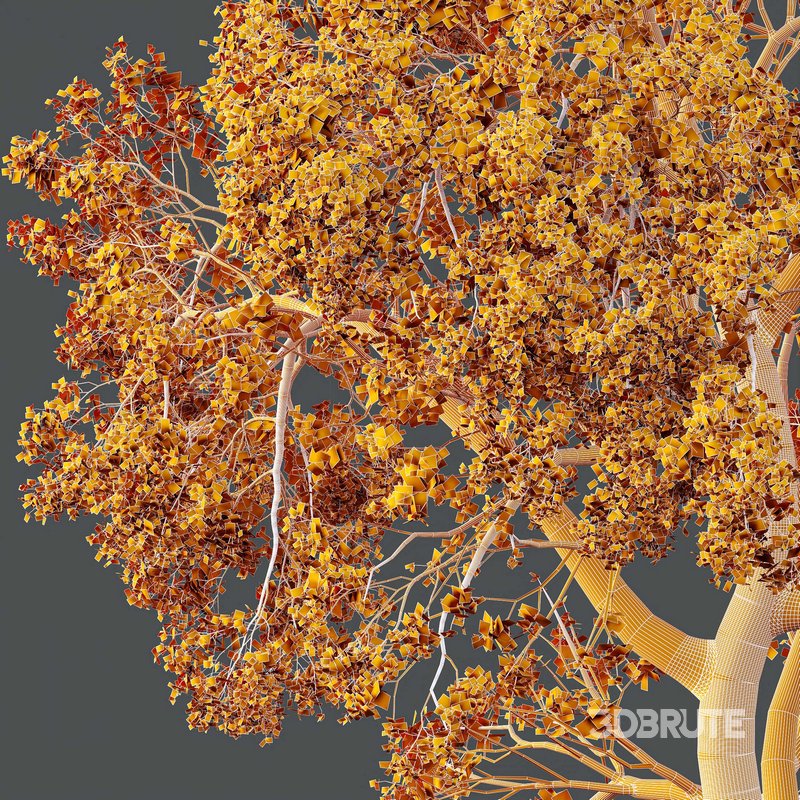 HQ Plants Shorea Robusta Sal Tree04 3d model Buy Download 3dbrute