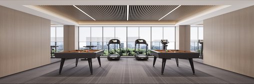 Modern gym