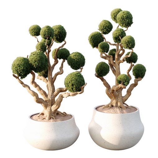 Potted sphere tree04