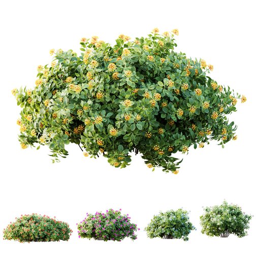 HQ Plants lantana Camara Confetti Bush