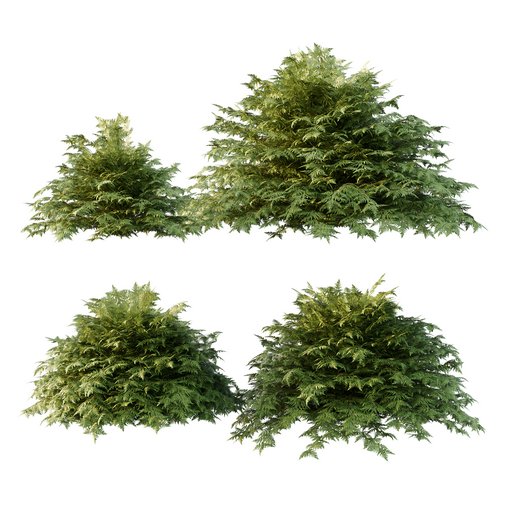 Cypress Bush 01 3d model Download  Buy 3dbrute