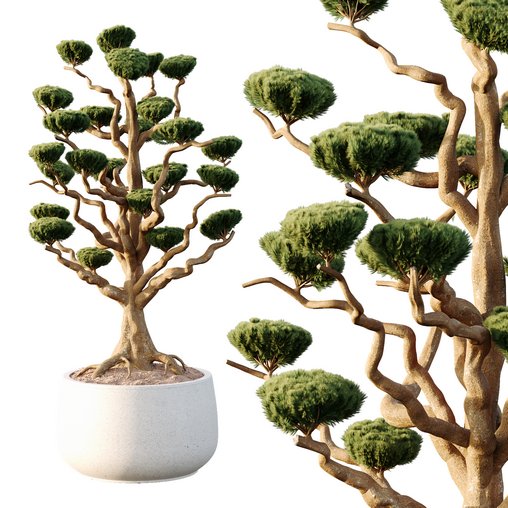 Potted sphere tree05