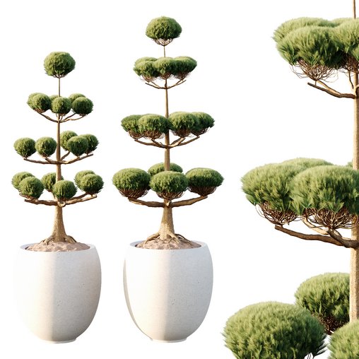 Potted sphere tree03