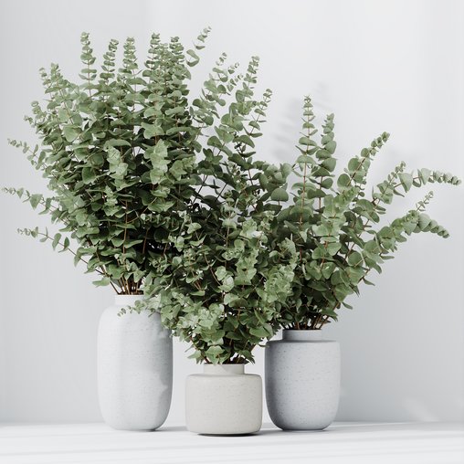 HQ HousePlants Branche Decorative Foliage Dollar Authentic Eucalyptus Bouquet Set02