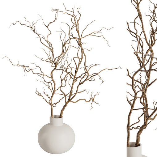 Dry branches vase Set42