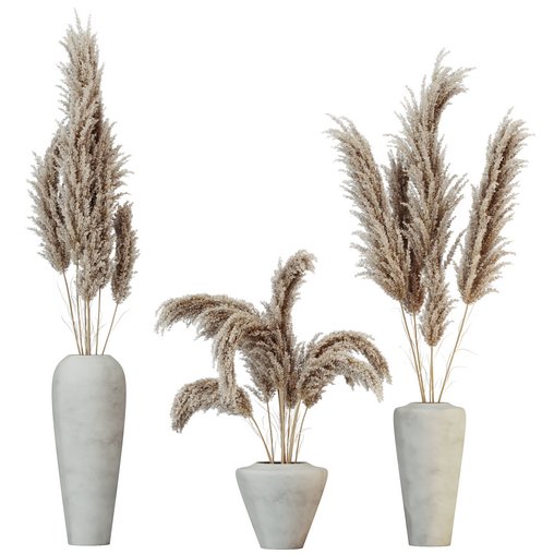 HQ HousePlants Decorative Miscanthus Pampas Dried Branches Pampy