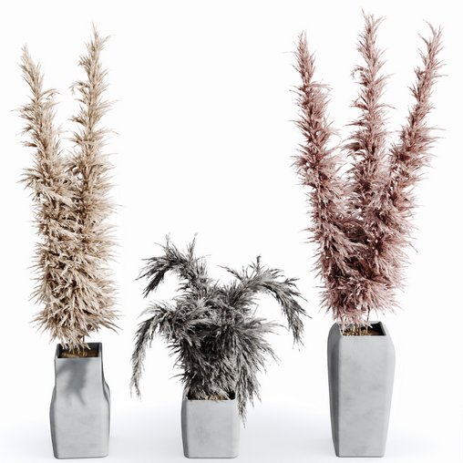 HQ HousePlants Decorative Stoilan Pampas Dried Branches Pampy04