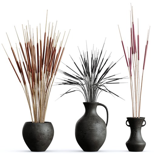 HQ HousePlants Decorative Stoilan Pampas Dried Branches Pampy