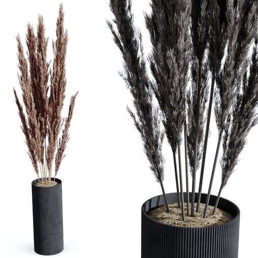 HQ HousePlants Decorative Miscanthus Pampas Dried Branches Pampy02