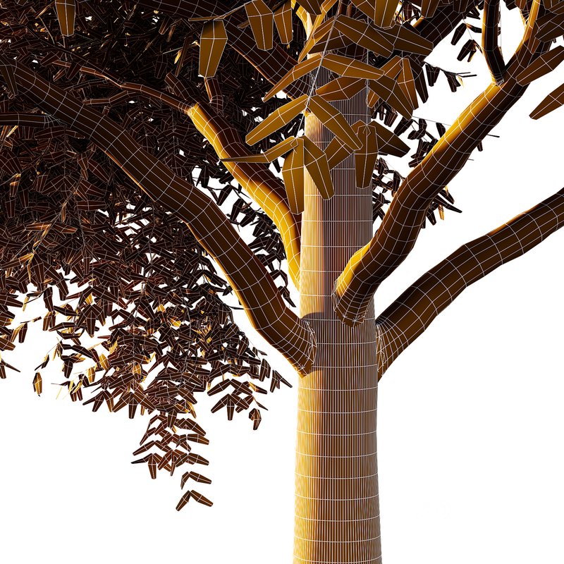 fraxinus excelsior Tree04 3d model Buy Download 3dbrute