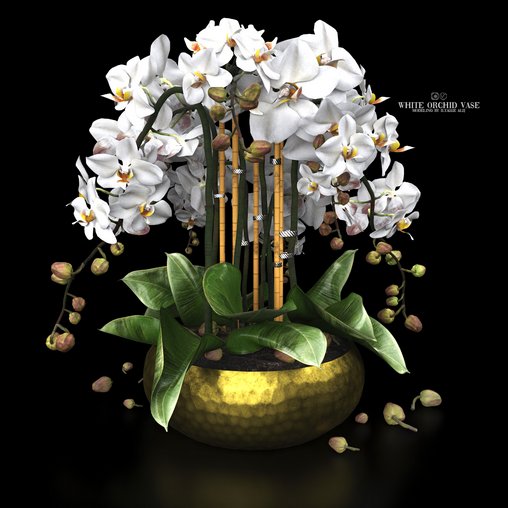 white orchid vase 3d model Download  Buy 3dbrute