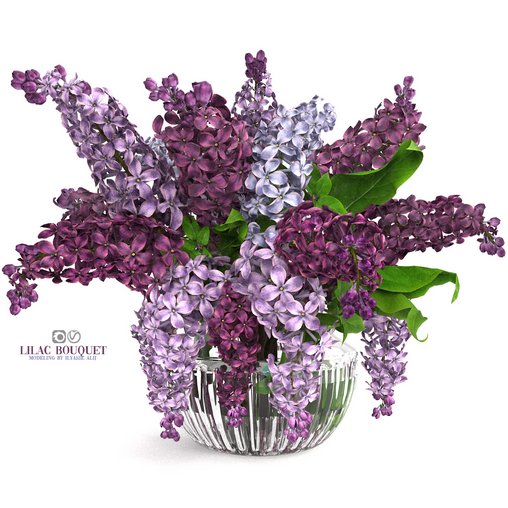 lilac bouquet