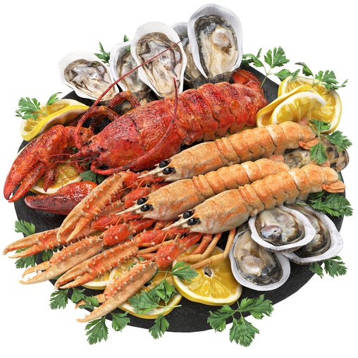 seafood platter of langoustine lobster and oyster 3d model Download  Buy 3dbrute
